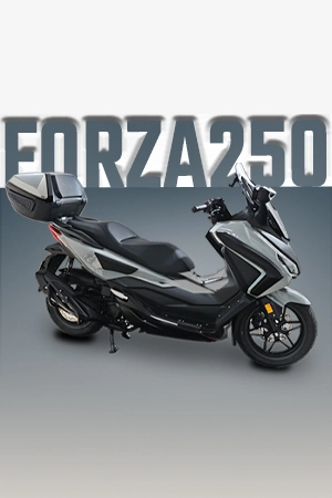 HONDA FORZA 250