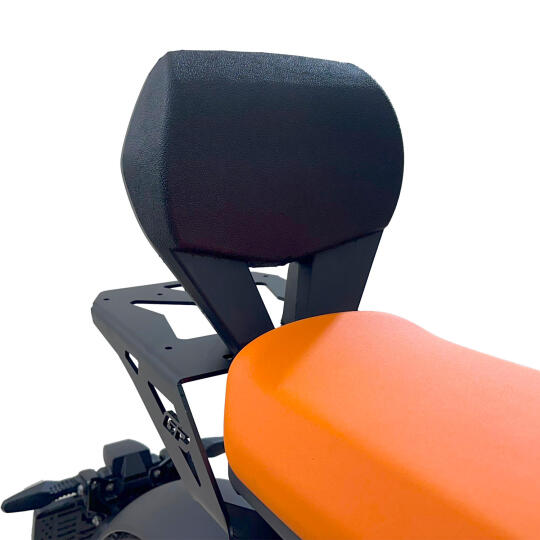 GP Kompozit BMW CE 04 2022-2024 Uyumlu Sissy Bar Siyah (1)