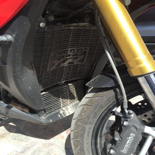 GP Kompozit BMW S 1000 XR 2015-2017 Uyumlu Radyatör Koruma Siyah (1)