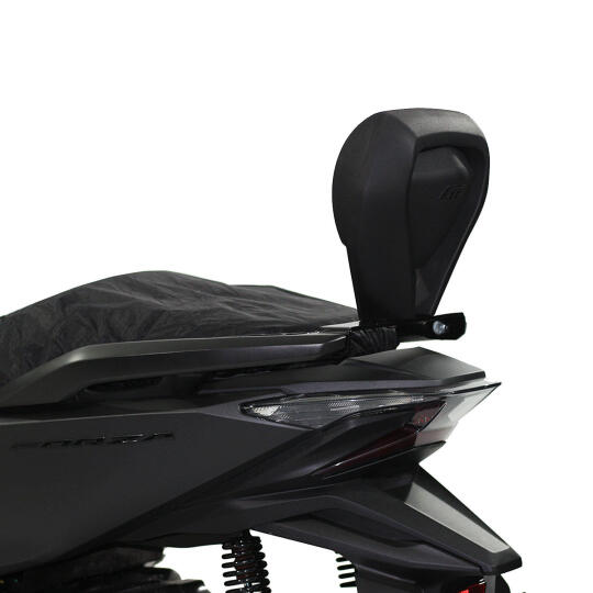 GP Kompozit Honda Forza 250 2018-2020 Uyumlu Sissy Bar Siyah - 3