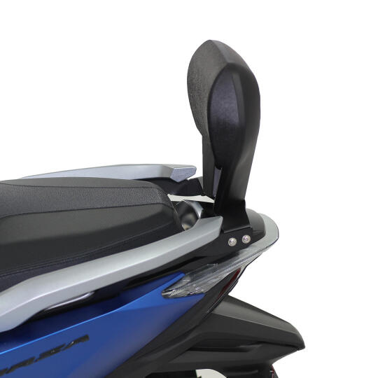 GP Kompozit Honda Forza 250 2021-2022 Uyumlu Sissy Bar Siyah - 3