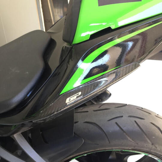GP Kompozit Kawasaki ZX-6R 2009-2017 Uyumlu Kuyruk Koruma Karbon Fiber - 3